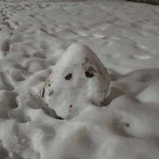 Telegram profile photo for угасание