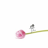 Telegram profile photo for 🌷 زهرة التوليب 🌷