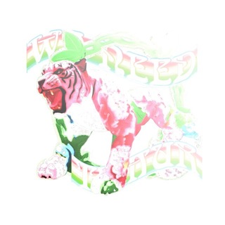 Telegram profile photo for TiMuR