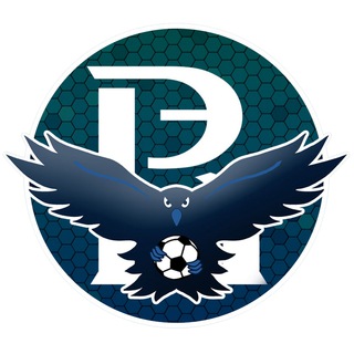 Telegram profile photo for Футбол ВШЭ