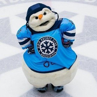 Telegram profile photo for Сибирский Снеговик⛄❄️🏒