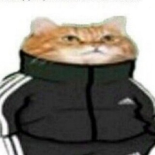 Telegram profile photo for or_memesy