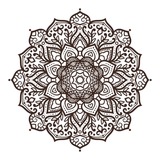 Telegram profile photo for اصل وقاعدة واجماع