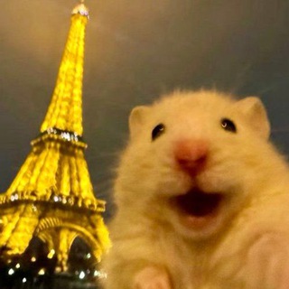 Telegram profile photo for трататуй