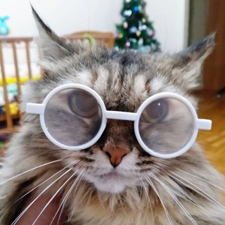 Telegram profile photo for Амишка: то‑сё и мемы 😏