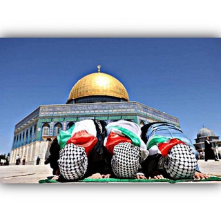 Telegram profile photo for فيديوهات/صورة/-فلسطينية🇵🇸