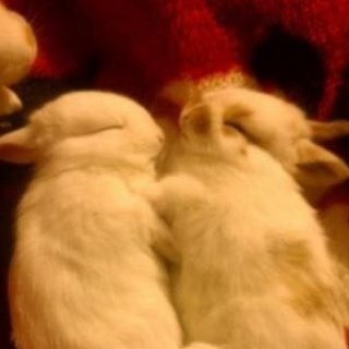 Telegram profile photo for Under a warm blanket