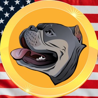 Telegram profile photo for BNBULLY | BNB CHAIN | PORTAL