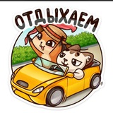 Telegram profile photo for Fox and Cat in travel