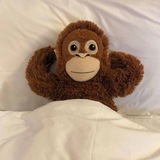 Telegram profile photo for явалера