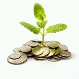 Telegram profile photo for Passive Income