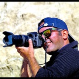 Telegram profile photo for Photo by »> imanking