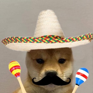 Telegram profile photo for Perro con Sombrero | Portal