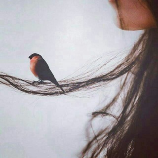Telegram profile photo for حوالی من🌱