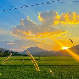 Telegram profile photo for Kênh tool tổng hợp