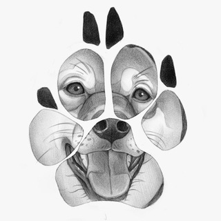 Telegram profile photo for Ресторатор | Блог про игру в Мафию