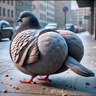 Telegram profile photo for Осталопы