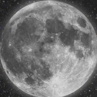Telegram profile photo for Дом госпожи Мяу