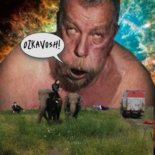 Telegram profile photo for Ozkavosh