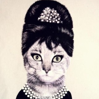 Telegram profile photo for Moore