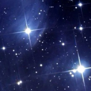 Telegram profile photo for BIO