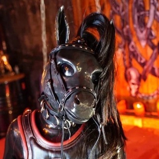 Telegram profile photo for Fetish_Horse_Shoe