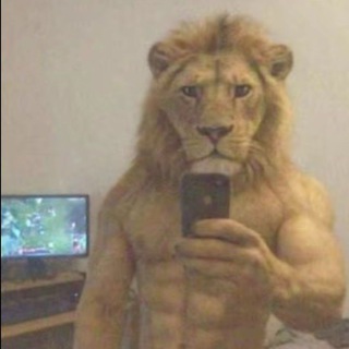 Telegram profile photo for Шадзххахахах