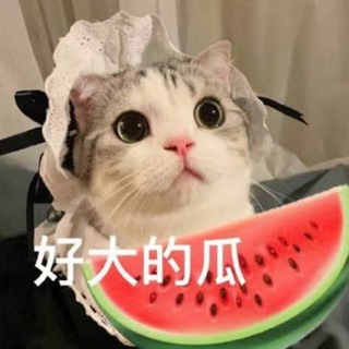 Telegram profile photo for 吃瓜 🍉(亚太悬赏)