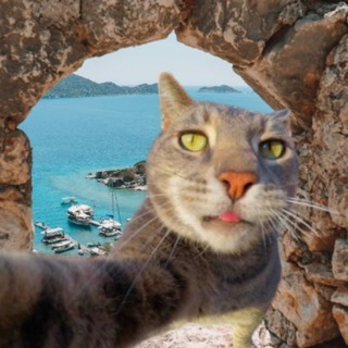 Telegram profile photo for CATOUR PORTAL