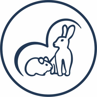 Telegram profile photo for АНО Центр помощи кроликам и грызунам "РУТА" СПб