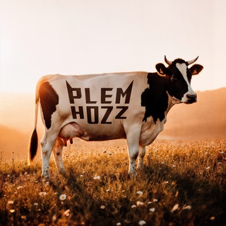 Telegram profile photo for PLEMHOZZ