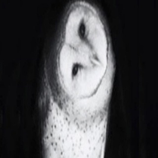 Telegram profile photo for Отзывы Ноликса