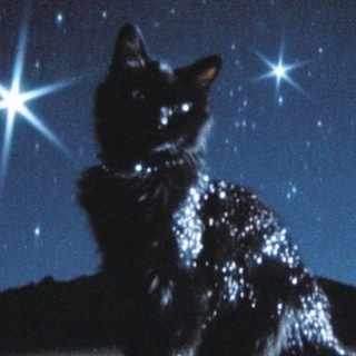 Telegram profile photo for Garbage can