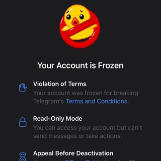Telegram profile photo for tutor