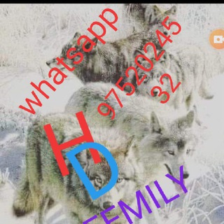 Telegram profile photo for Heppy dream femily