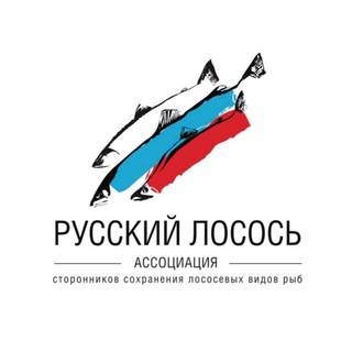 Telegram profile photo for РУССКИЙ ЛОСОСЬ