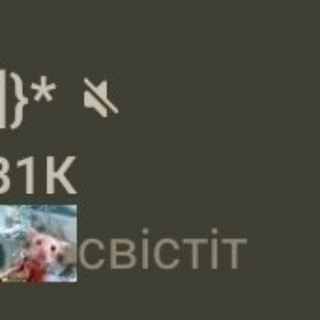 Telegram profile photo for вiка свiстун