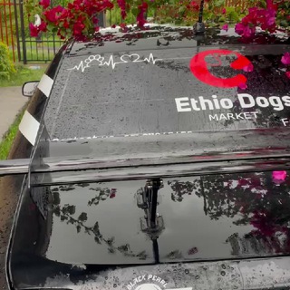 Telegram profile photo for Ethio dogs market🇪🇹