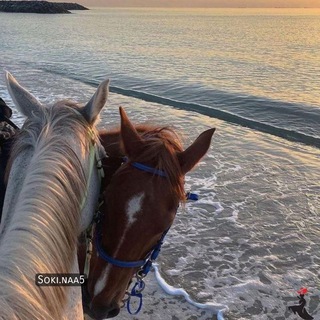 Telegram group profile photo for Sokin Life