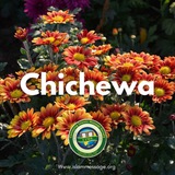 Telegram profile photo for Dawah in Chichewa