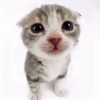Telegram profile photo for Sol Centre