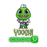 Telegram profile photo for Yooshi Grow 💹 - Portal