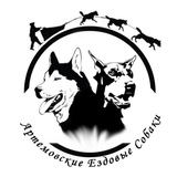 Telegram profile photo for Артемовские ездовые собаки🐕