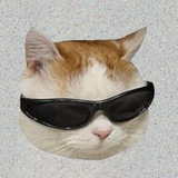 Telegram profile photo for BOOK OF CATS