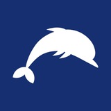 Telegram profile photo for Лазаревское - жилье и отдых