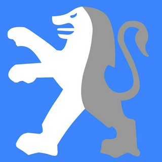 Telegram profile photo for سيتروئن پارت(امير نظري)