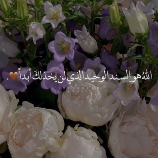 Telegram profile photo for رقَٰـُـٰٓۿۿہ🤍🤍🌿.
