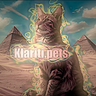 Telegram profile photo for 𝗸𝗹𝗮𝗿𝗶𝘁𝗶.𝗽𝗲𝘁𝘀ᵒᶠᶠ⛱️