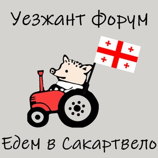 Telegram profile photo for Уезжант форум - Едем в Грузию | эмиграция чат