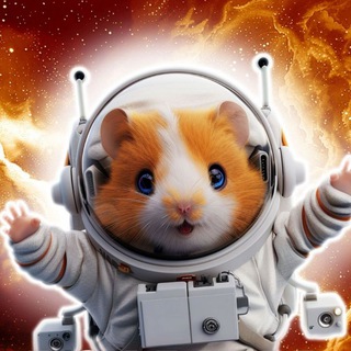 Telegram profile photo for AirdropNews